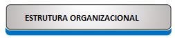 LOGO ESTRUTURA ORGANIZACIONAL